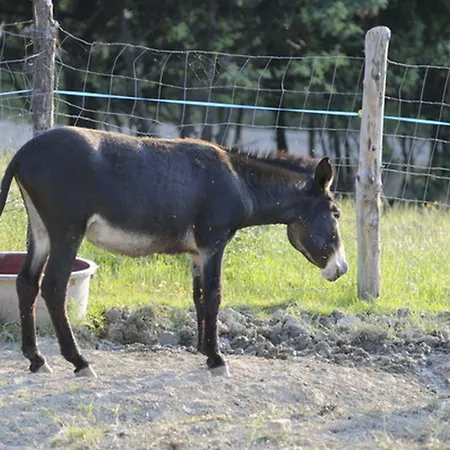 La Tavola Dei Cavalieri Bauernhof
