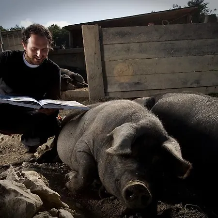 La Tavola Dei Cavalieri Farma Santa Maria Lignano